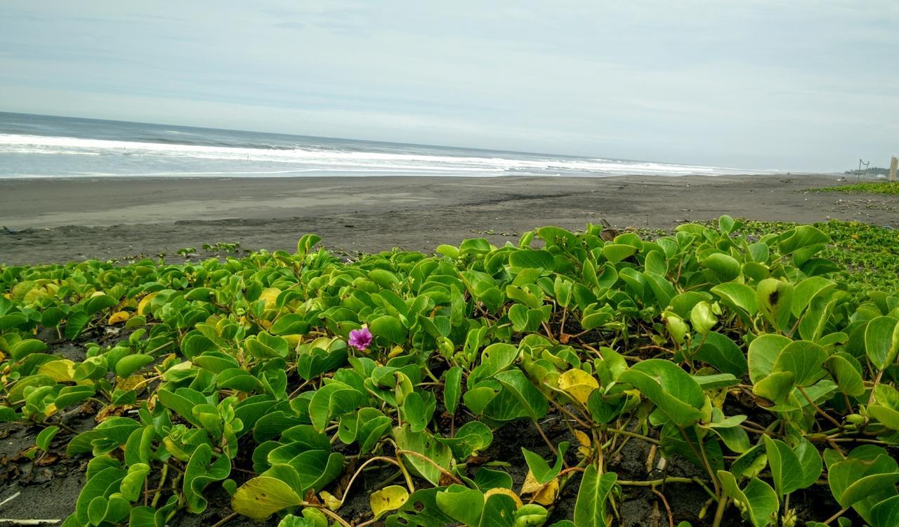 Eco-Hotel Playa Quilombo Las Lisas 外观 照片