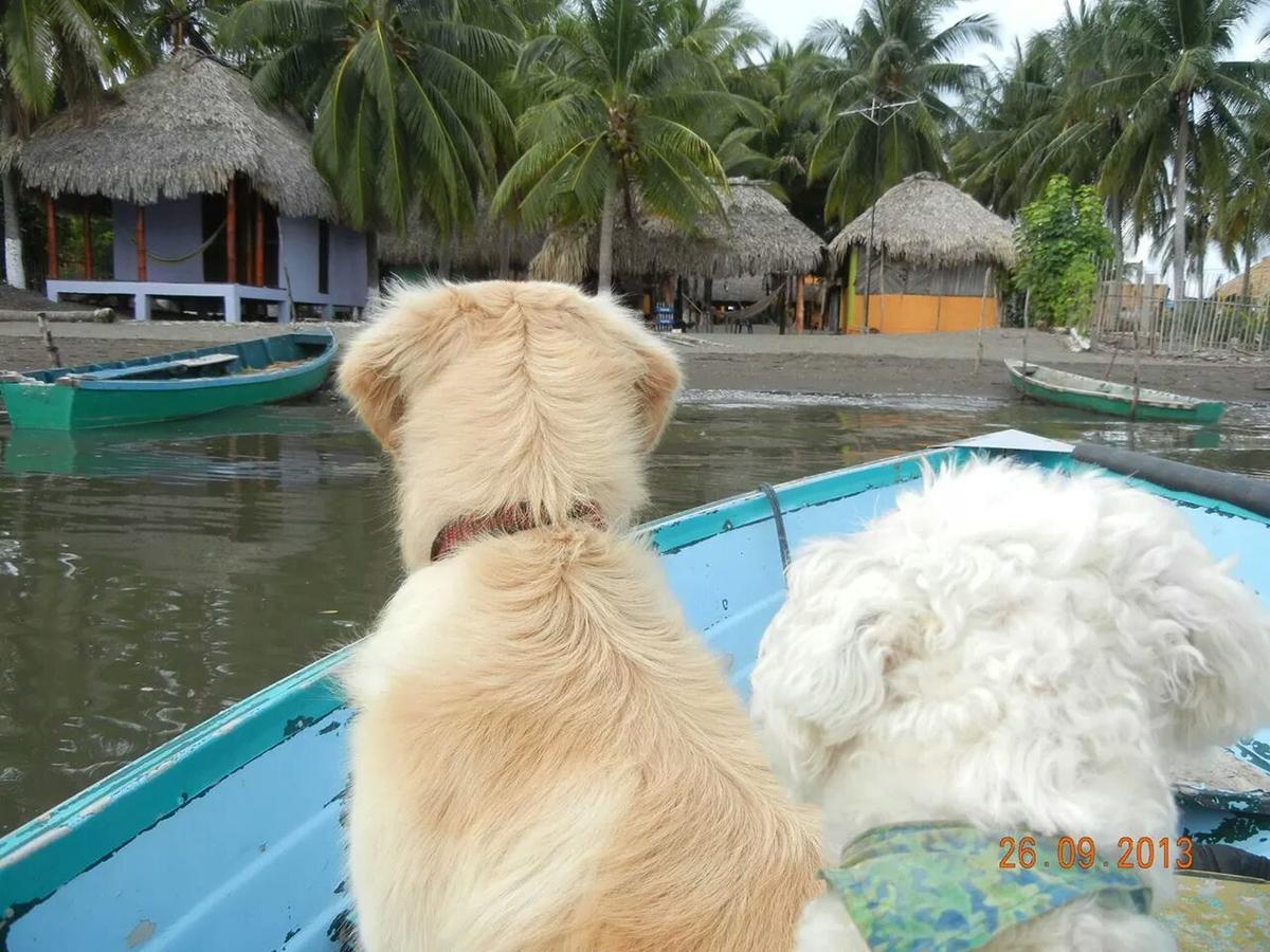 Eco-Hotel Playa Quilombo Las Lisas 外观 照片