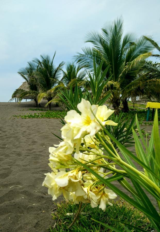 Eco-Hotel Playa Quilombo Las Lisas 外观 照片